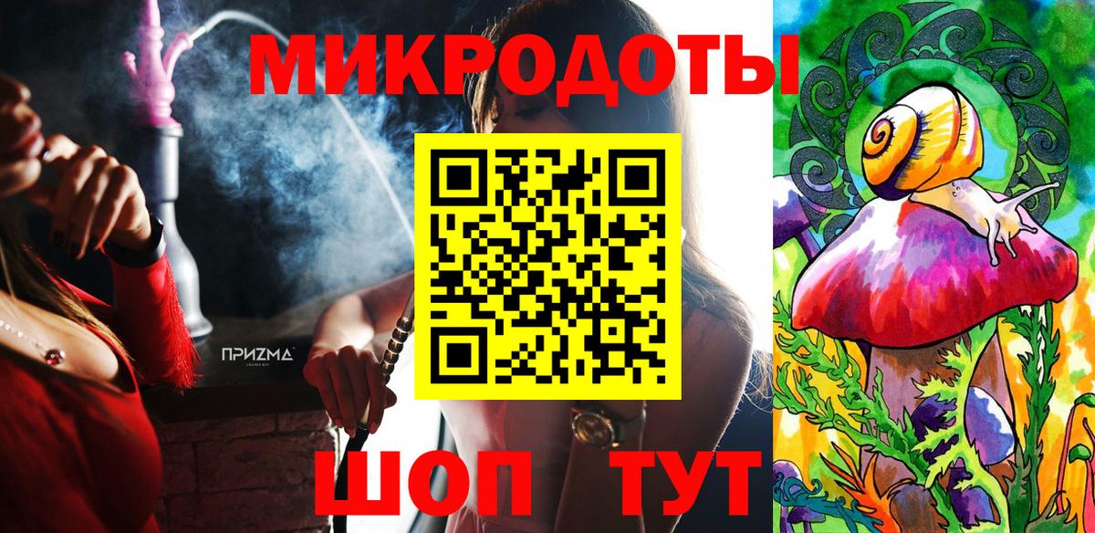Галлюциногенные грибы Psilocybe Нальчик