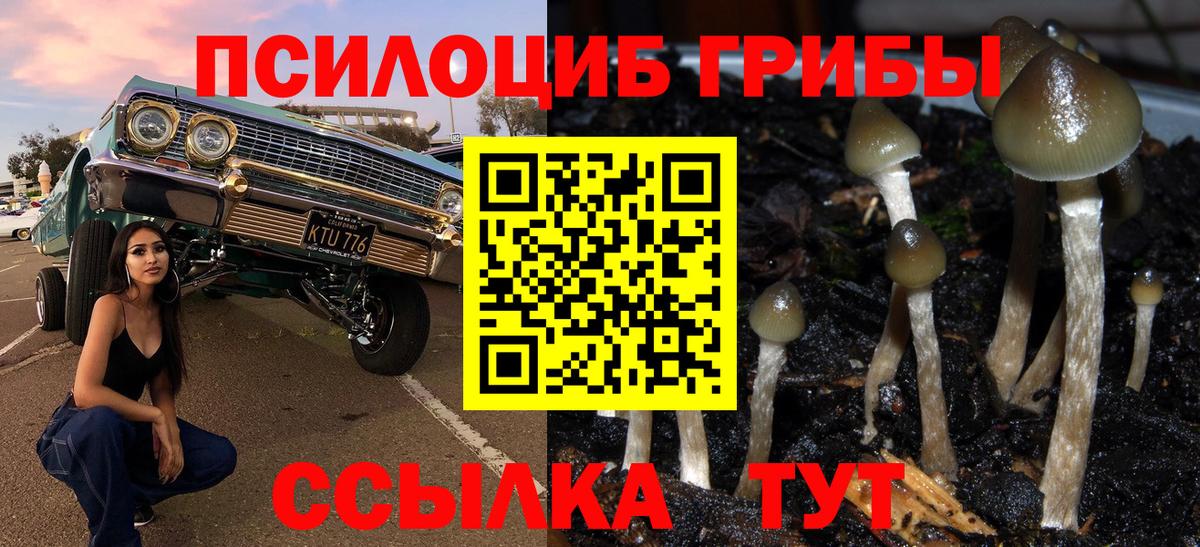 Псилоцибиновые грибы Cubensis  Вход с VPN  Нальчик  Галлюциногенные грибы Psilocybine cubensis 